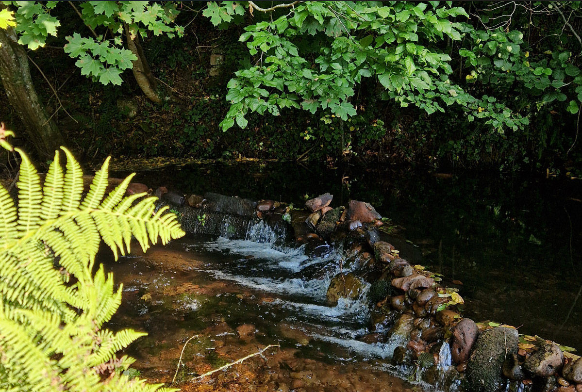 Reisenbach und Höllbach am Haus Waldquelle Vital