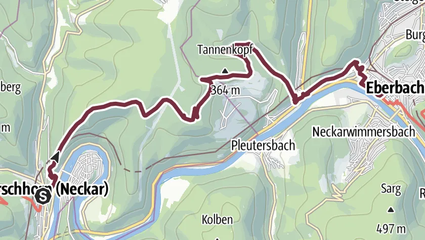 Neckarsteig Etappe 4 – Blick auf den Neckar zwischen Hirschhorn und Eberbach